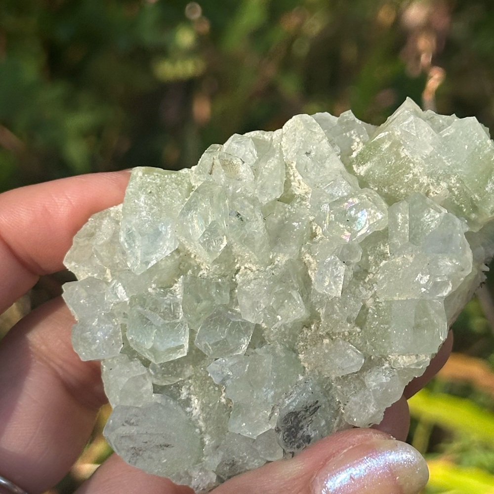 Apophyllite Cluster - Picture 3 of 6